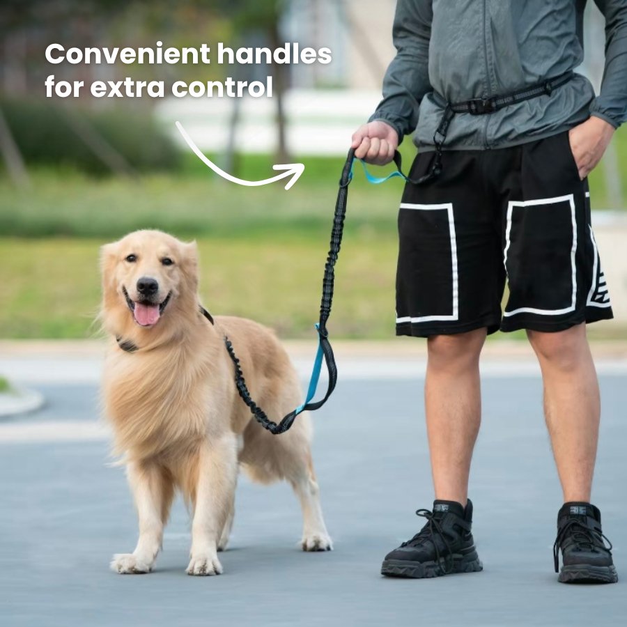 Hands free dog leash with pouch hotsell